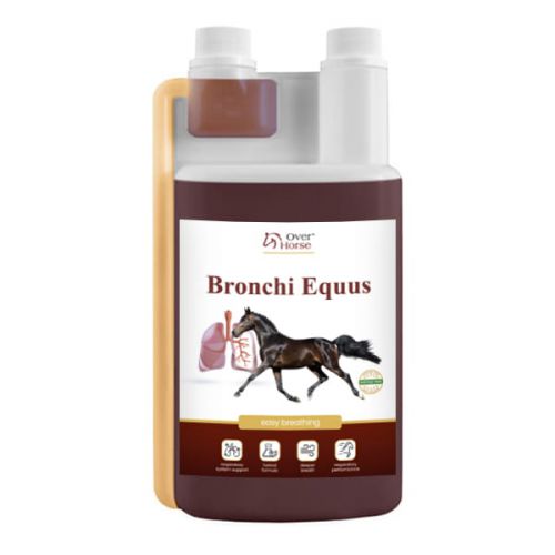 OVER HORSE Bronchi Equus