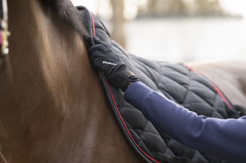 01-310036-9000_meura_winter_c