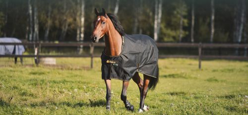 Derka padokowa Bucas Irish Turnout Light 50g Derka padokowa Bucas Irish Turnout Light 50g