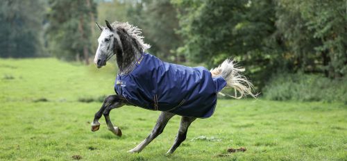 irish-turnout-classic