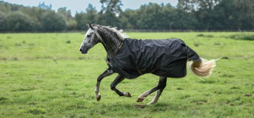 irish-turnout-classicneck