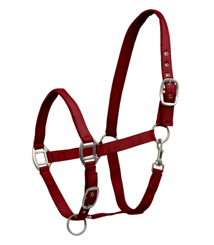 obraz_2025-11-07_180251293