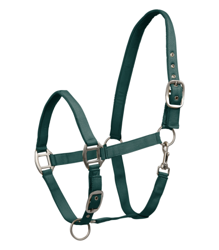 Waldhausen Kantar Satin