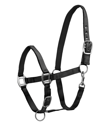 obraz_2025-11-07_180518811